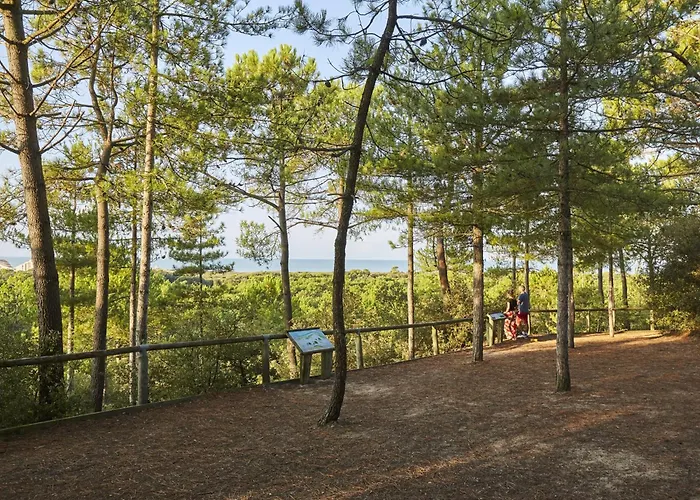 En Rez-de-chaussee Vue - Saint-jean-de-monts - Fr-1-323-598 Apartament